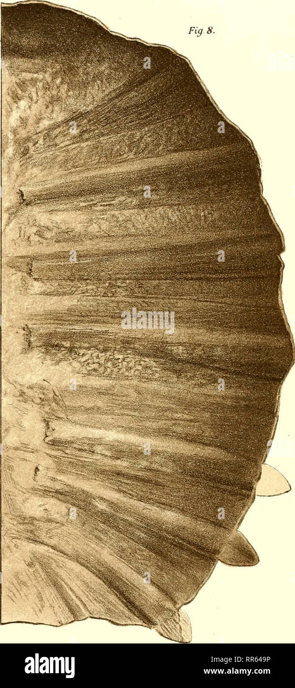 Page 3 Ho Lo High Resolution Stock Photography And Images Alamy