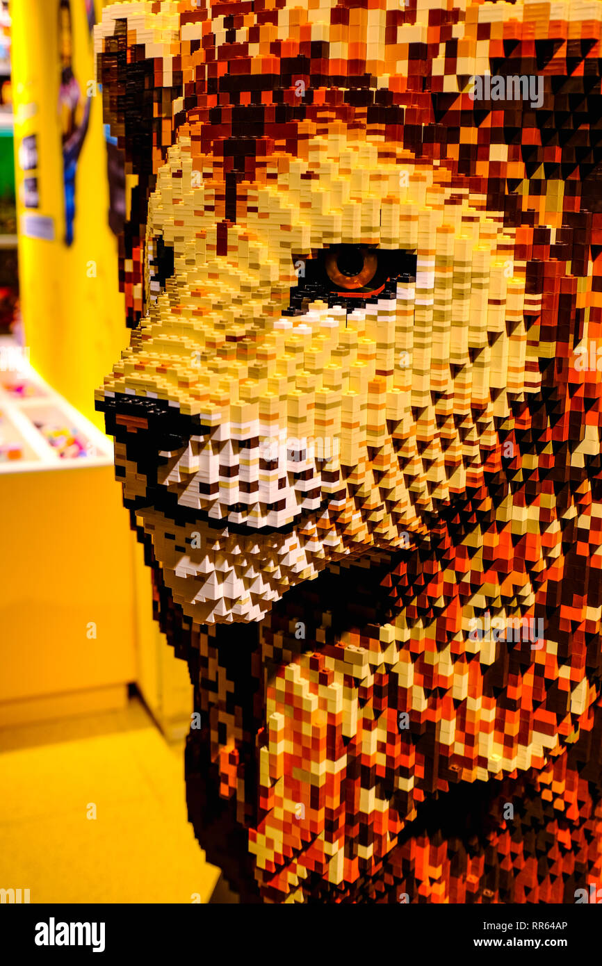 vertical Lion head lego bricks lego store of Bologna  Stock Photo