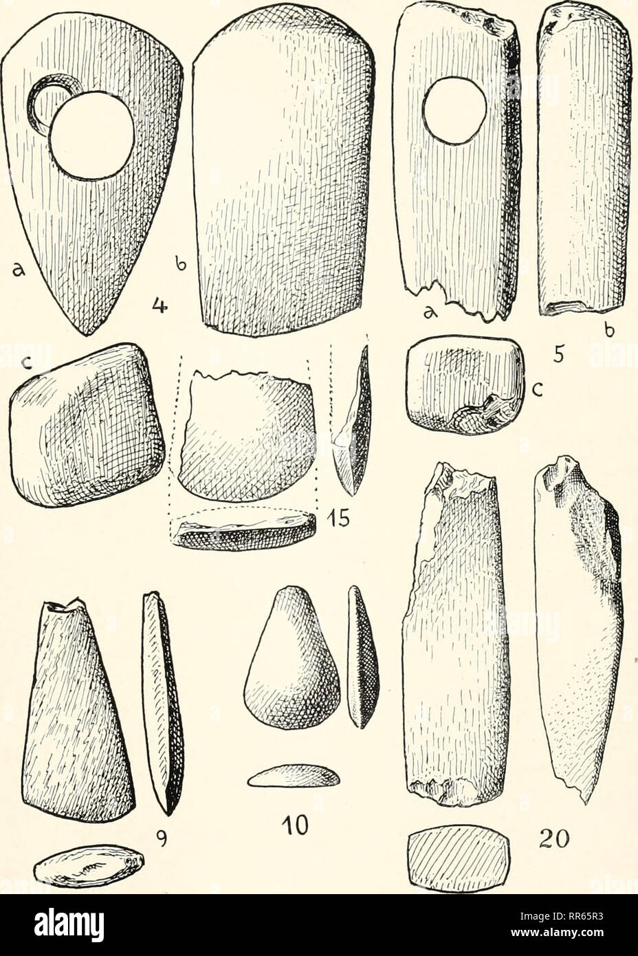 Abhandlungen Der Naturhistorischen Gesellschaft Zu Nrnberg