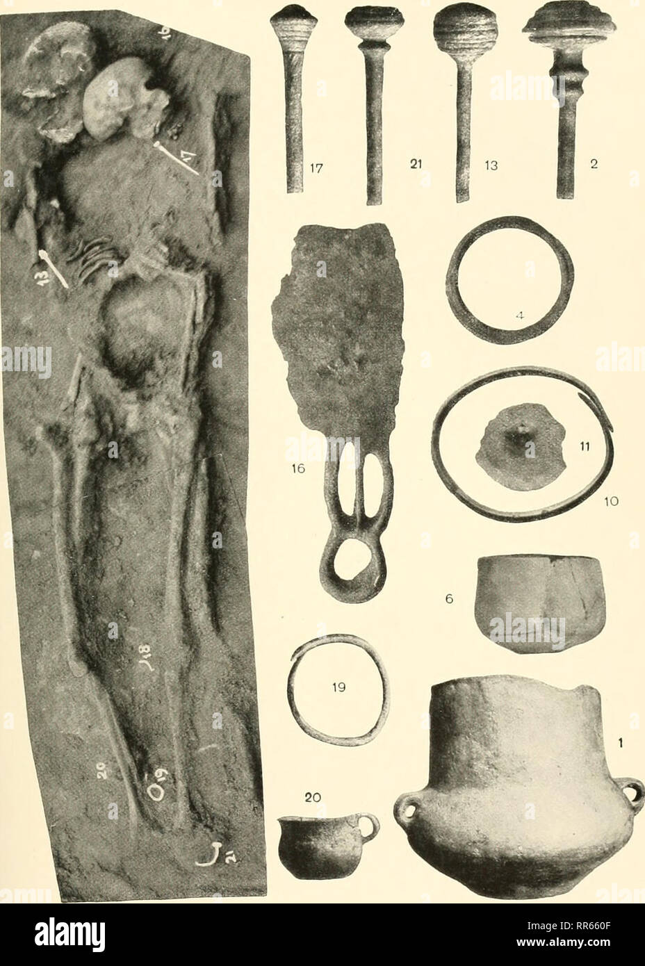 Abhandlungen Der Naturhistorischen Gesellschaft Zu Nrnberg
