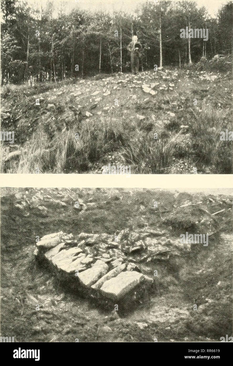 Abhandlungen Der Naturhistorischen Gesellschaft Zu Nrnberg