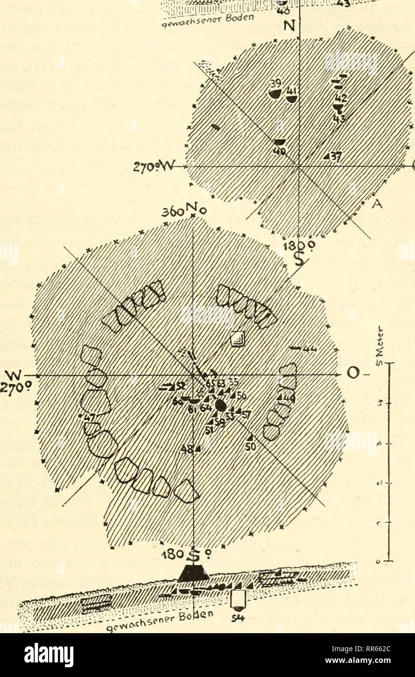 . Abhandlungen der Naturhistorischen Gesellschaft zu Nrnberg. Natural history. 255 inneren Grabumgrenzung angehörten; die anderen Partien der Umgrenzung wurden erst bei fortsclireitender Grabung erkennbar.. 090* Grundriß und Profil von Grab II A (oben), B (unten) IIA Die Begräbnisstätte A war fast durcliweg mit mittelgroßen flachen Weiß- juraplatten bedeckt, die am Rand z.T. dachziegelartig standen. Sie enthielt an fünf Stellen 45^80 cm tief die Scherben (38—42). Die Scherben (39). Please note that these images are extracted from scanned page images that may have been digitally enhanced for re Stock Photo