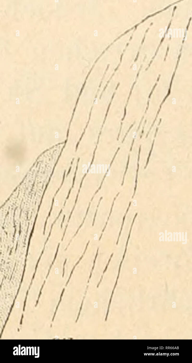 Halle Neustadt High Resolution Stock Photography And Images Alamy Halle Neustadt High Resolution Stock Photography And Images Alamy