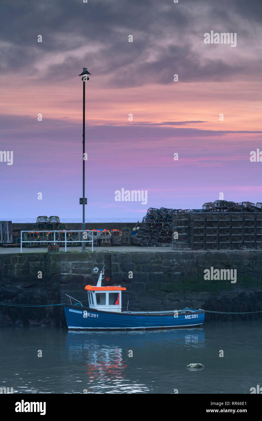 A Small Fishing Vessel, Moored Beneath a Lamppost on the Quay at Gourdon Harbour as the Sunrises, with Creels (Lobster Pots) Stacked in the Background Stock Photo