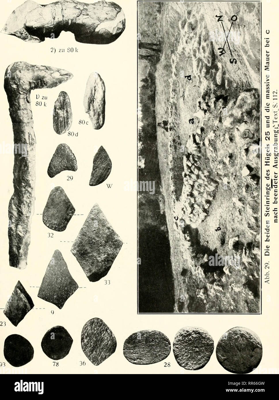 Abhandlungen Der Naturhistorischen Gesellschaft Zu Nrnberg