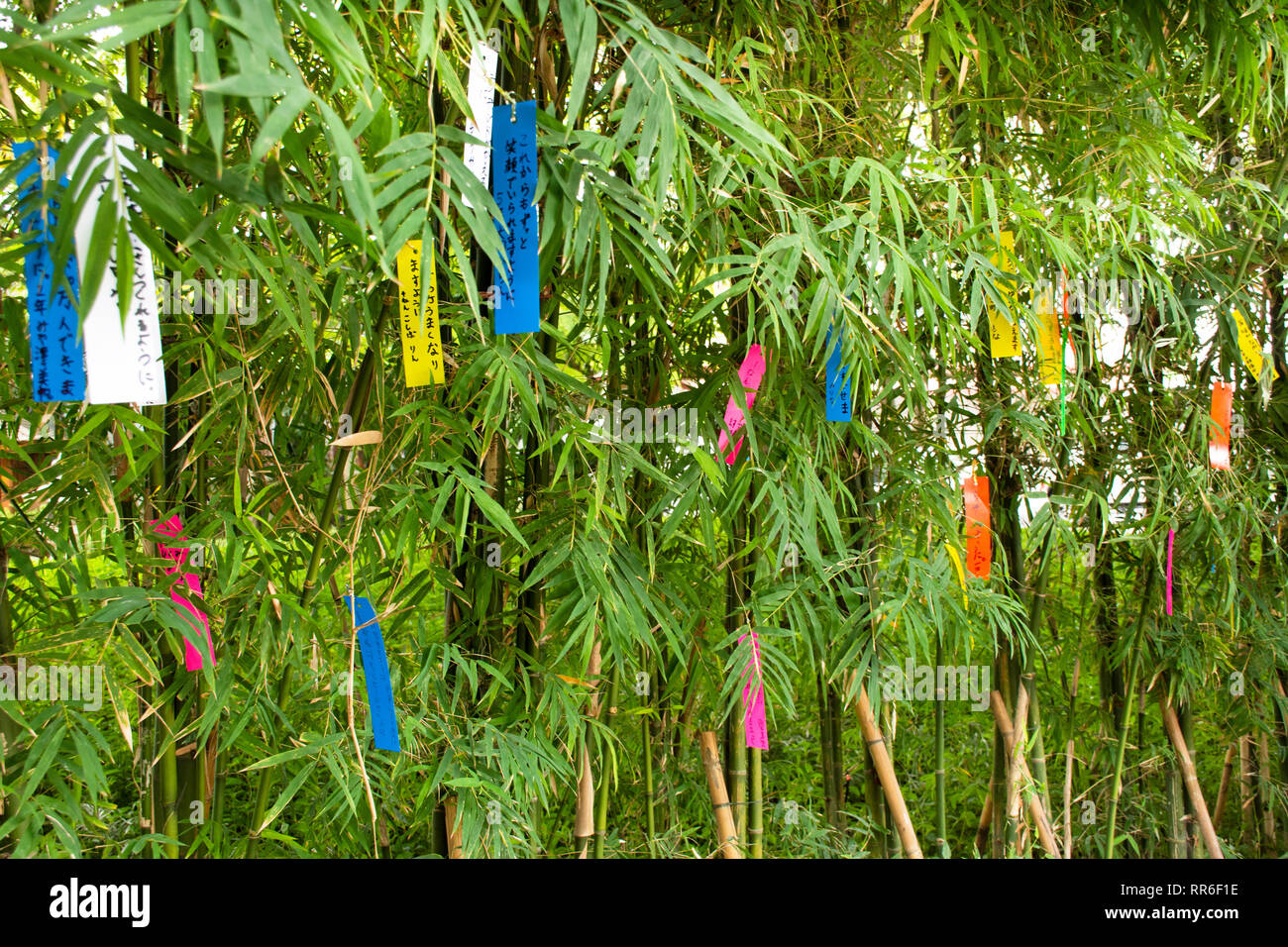 Travelers people join and writing wishes on paper and hang on bamboo tree  in Tanabata or Star Japanese festival at Japan village on July 8, 2018 in  Ay Stock Photo - Alamy