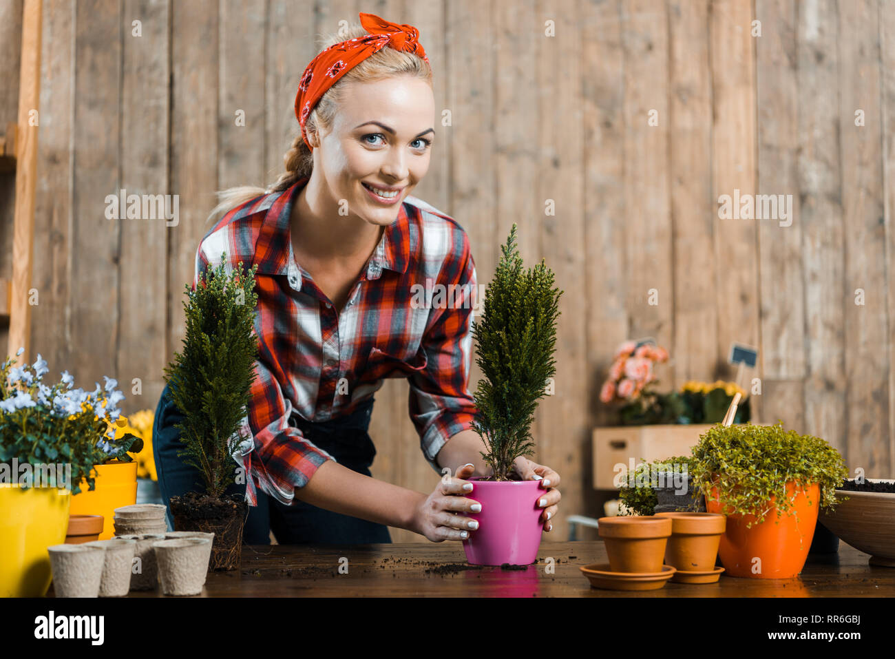 beautiful woman smiling while holding green plant in pot Stock Photo ...
