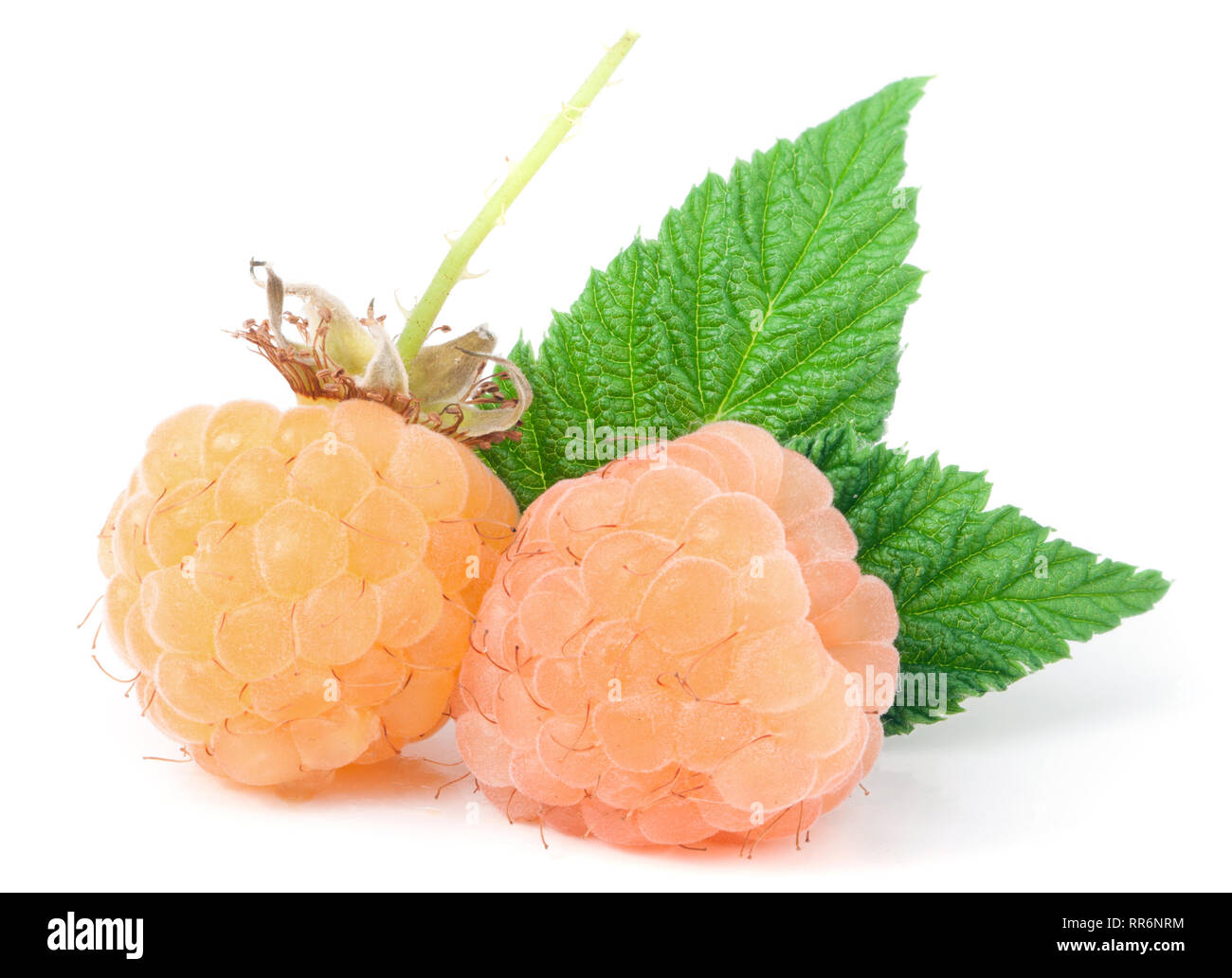 yellow raspberries with leaf isolated on white background macro Stock ...