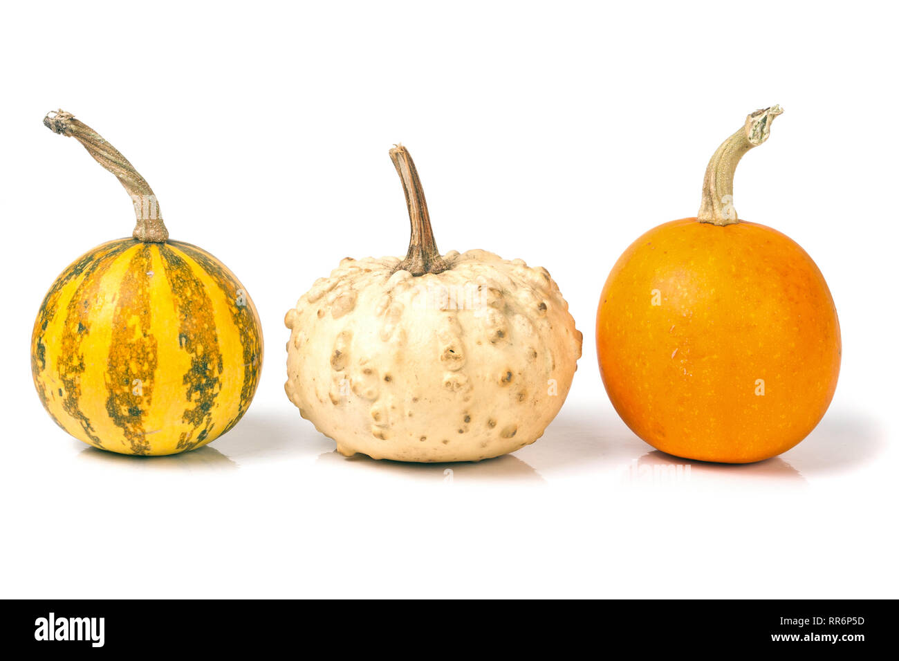 Three whole pumpkins on Cut Out Stock Images & Pictures - Alamy