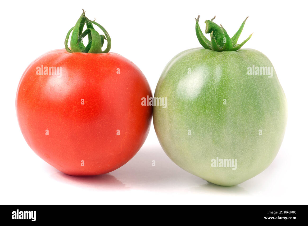 red and green tomatoes isolated on white background Stock Photo - Alamy