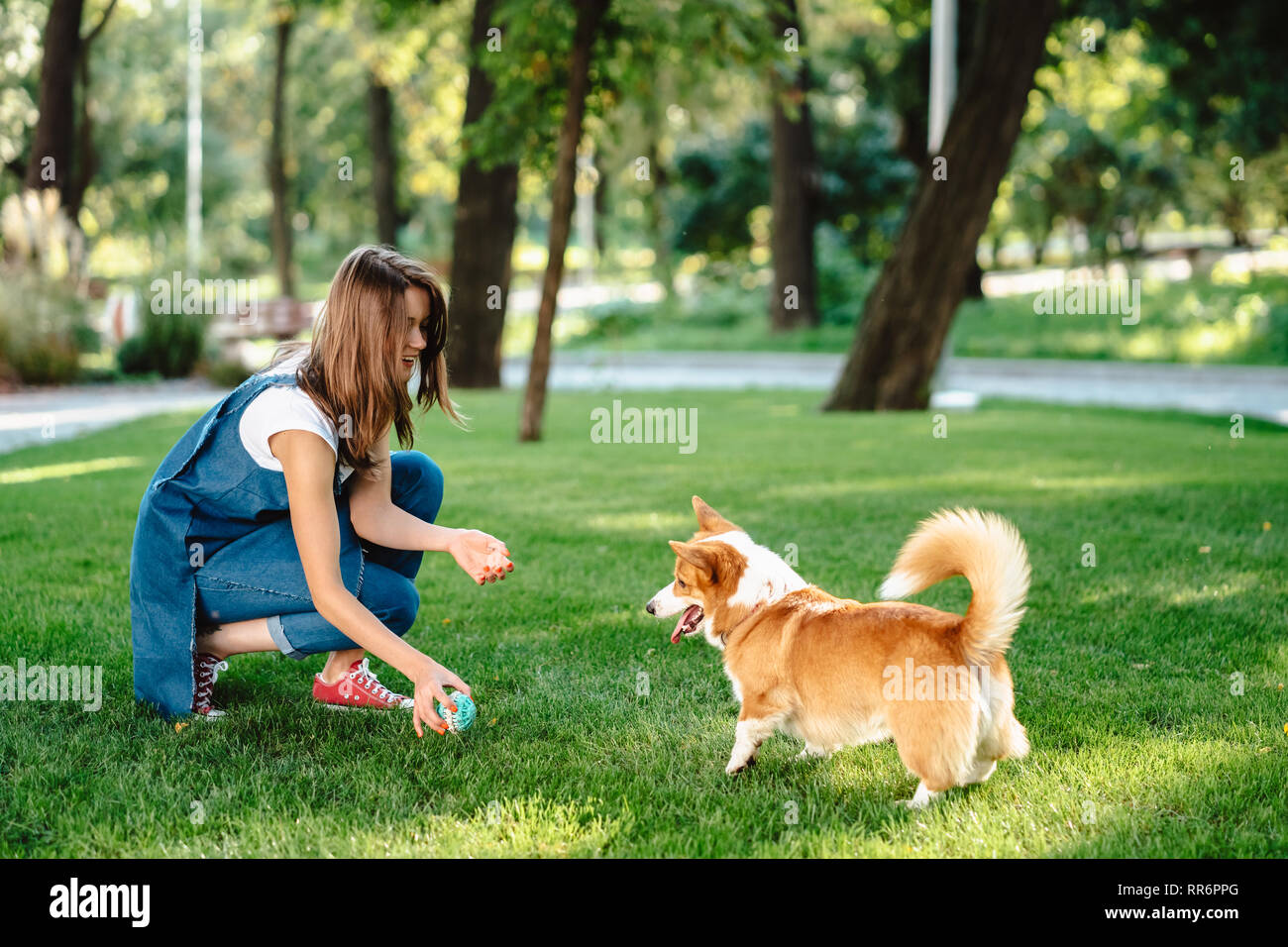 Portrait of woman with dog Welsh Corgi Pembroke in dog park Stock Photo ...