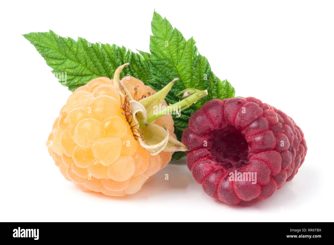 Red Andyellow Raspberry red and yellow raspberries with leaves on a white background Stock ...