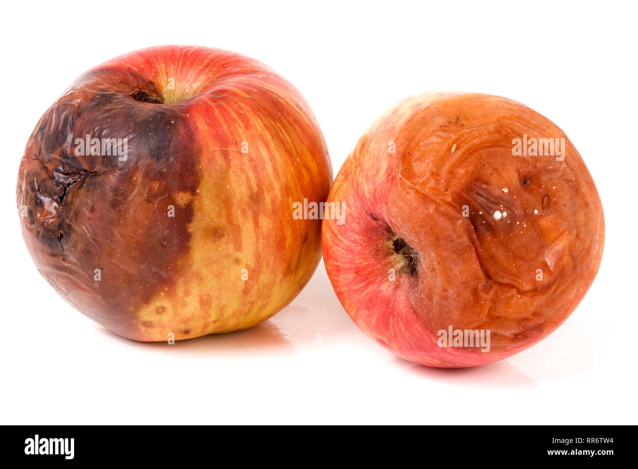 two rotten apple isolated on a white background Stock Photo