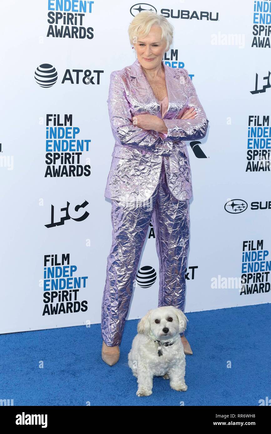 Glenn Close and her dog Pip arrive at the Film Independent Spirit(00)