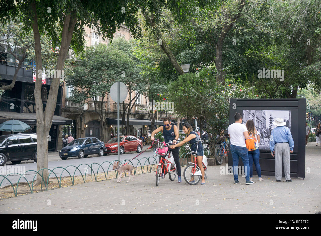 Mexico City, Mexico. February 24, 2019 in Colonia Roma Mexico City Mexico, locale where Alfonso Cuaron, director of autobiographical film Roma was born & grew up. The film is the first foreign film ever to be nominated for an Academy Award as Best Picture, as well as various other Academy Awards. It is an appreciation of his family's caring young Indigenous maid, as well as his beautiful mother at the time his father abandoned her & the children Credit: Dorothy Alexander/Alamy Live News Stock Photo