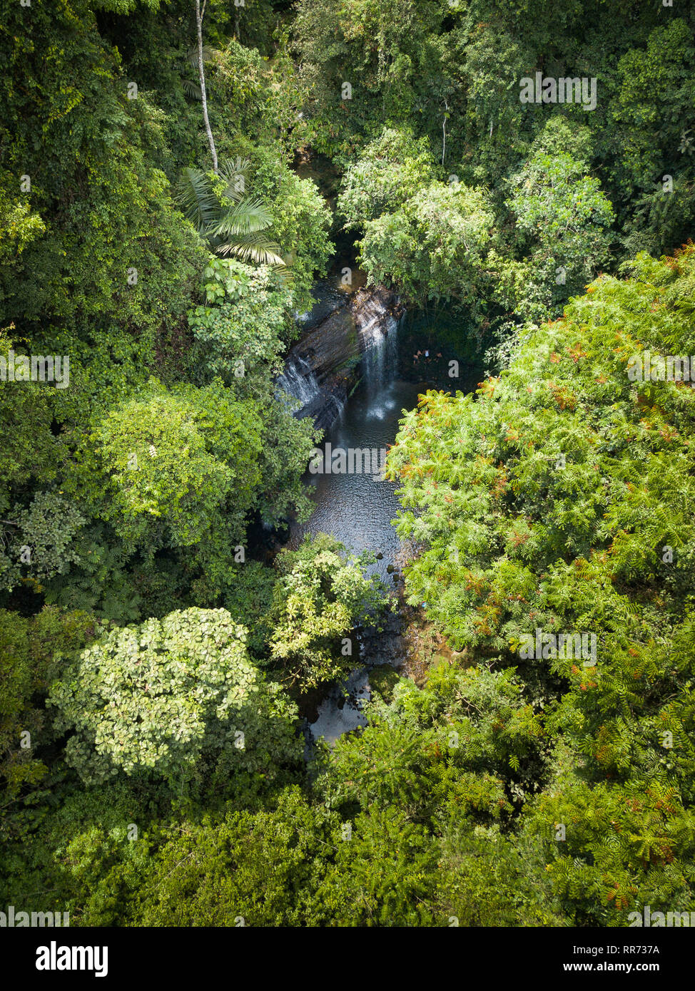 North Sumatra, Indonesia. 24th Feb, 2019. People swing from a vine into a waterfall in the forest to cool off in the 40C heat. Credit: Andrew Walmsley/Alamy Live News Stock Photo