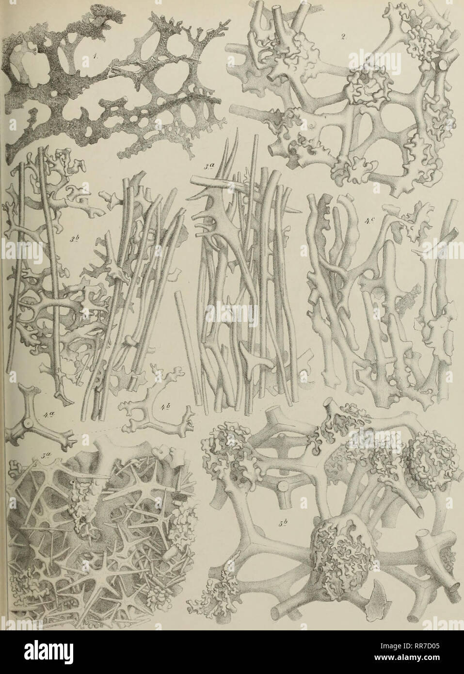 Bookleafnumber231 High Resolution Stock Photography And Images Alamy