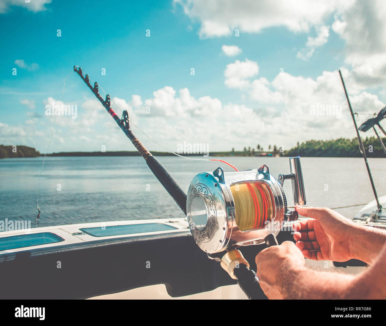 professional fishing rod and reel