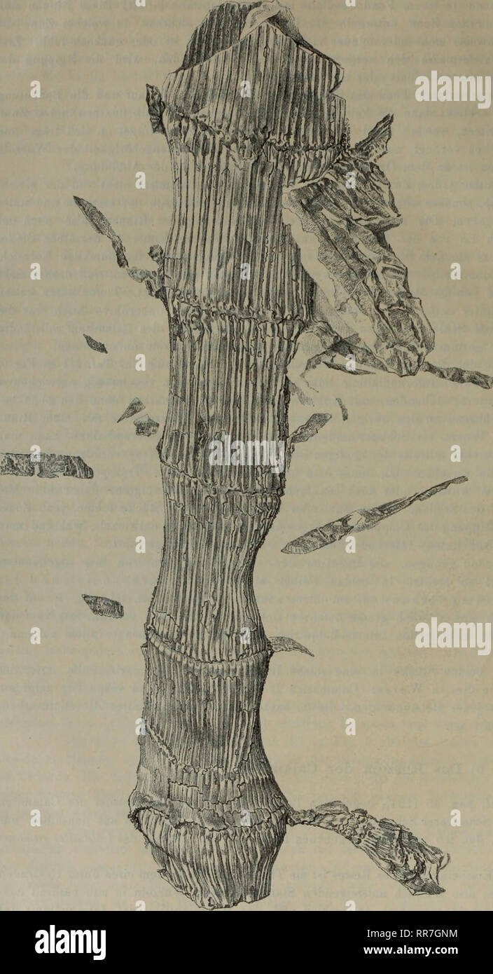 Feren High Resolution Stock Photography And Images Alamy