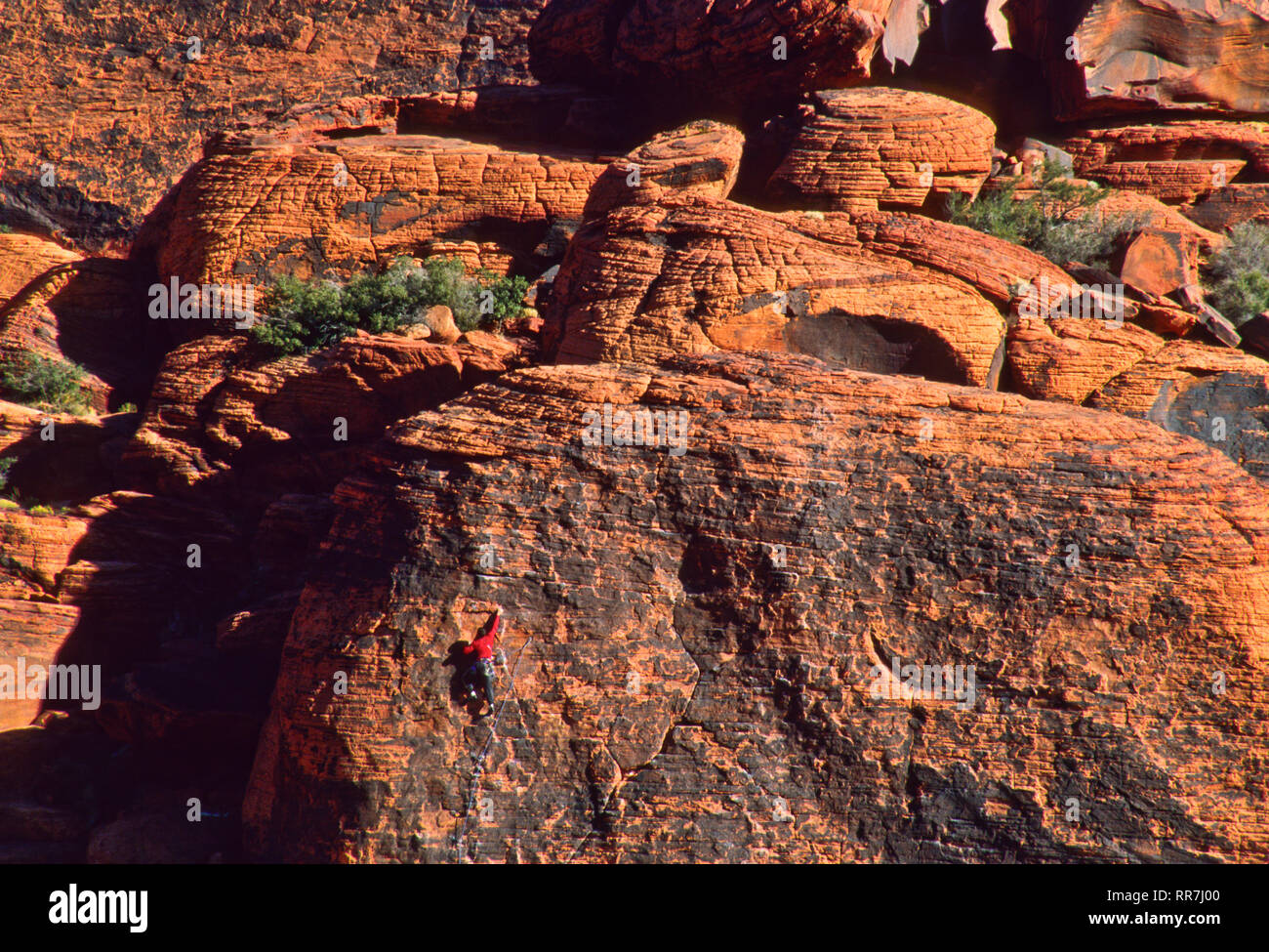 Rock climber on red rocks , Arizona, scenic USA scenic America Stock Photo