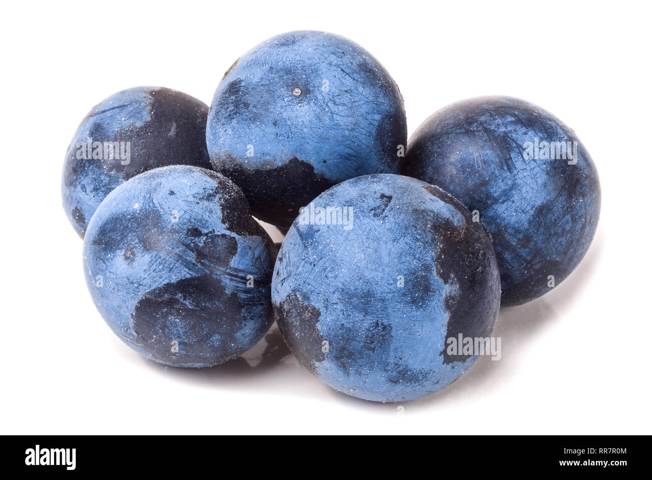 fresh blackthorn berries isolated on white background Stock Photo