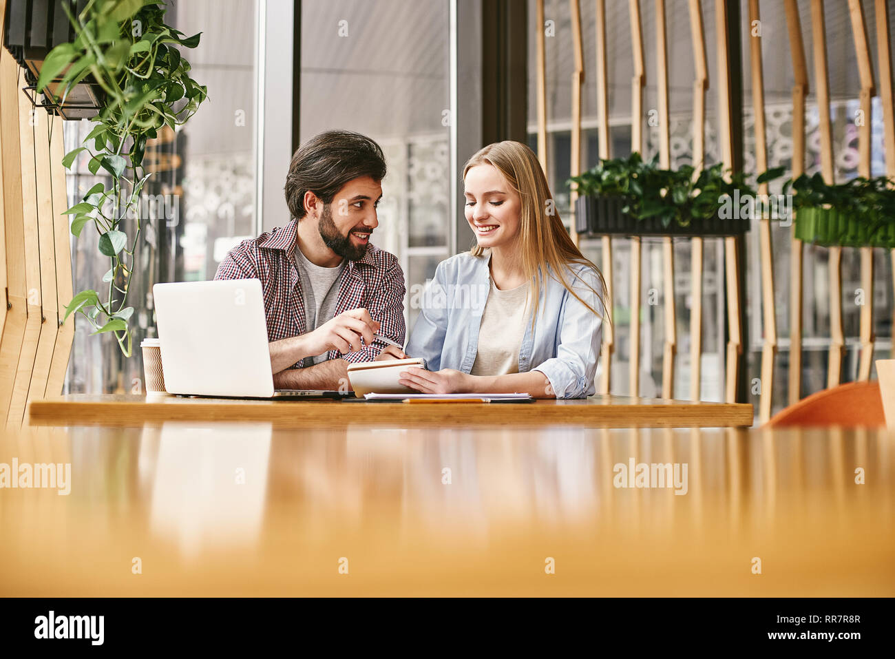 Dark-haired smart freelance leader in casual wear use laptop to explain project to his subordinate at modern office. Business and office concept. Stock Photo