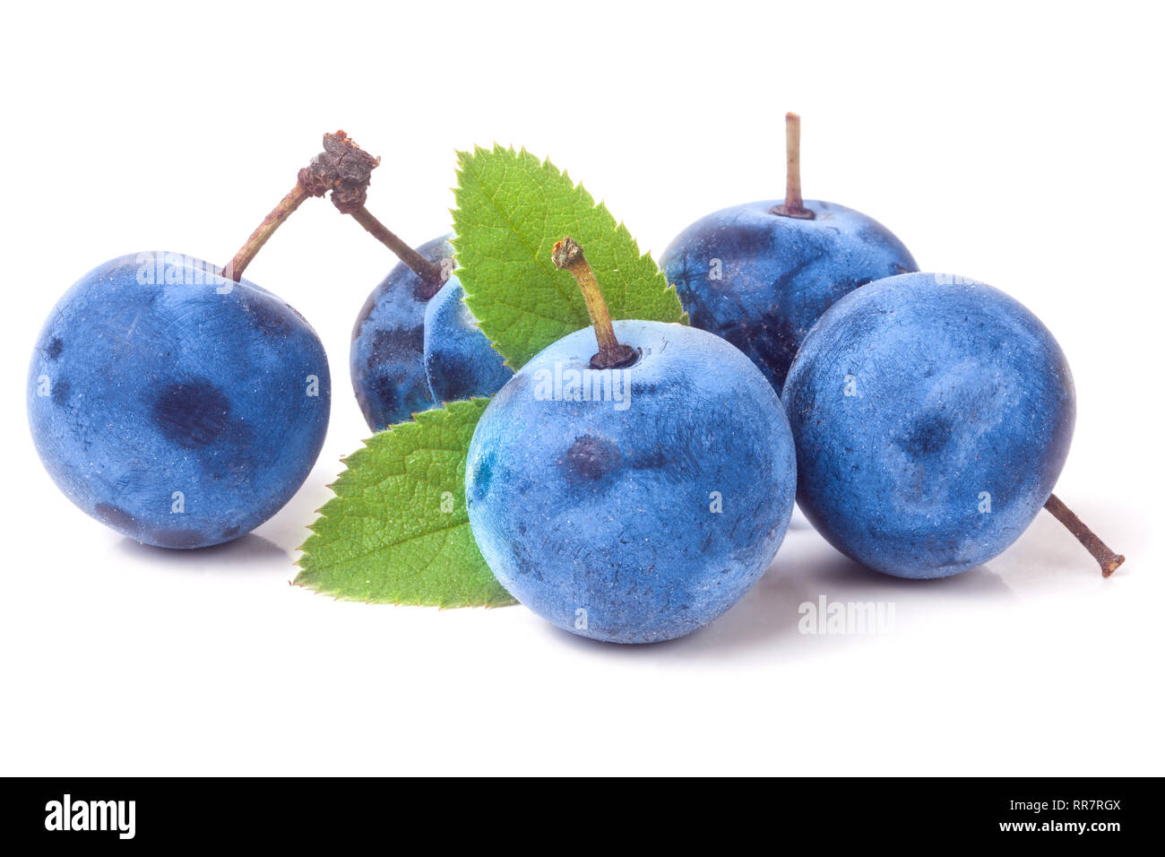 fresh blackthorn berries with leaves isolated on white background Stock Photo