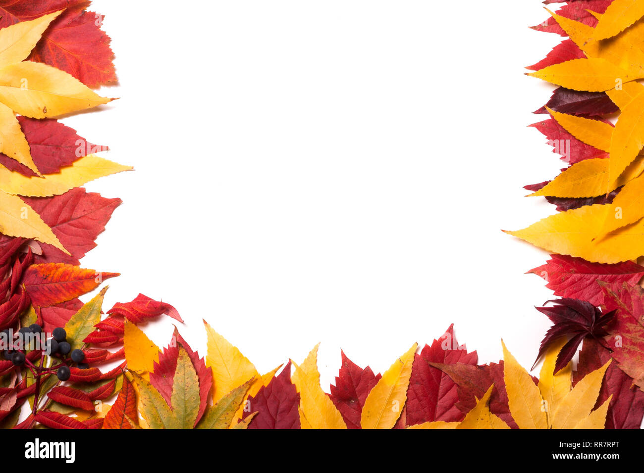 Frame of autumn leaves isolated on white background Stock Photo - Alamy