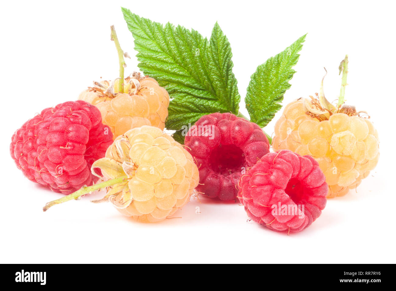 Red Andyellow Raspberry red and yellow raspberries with leaves on a white background Stock ...