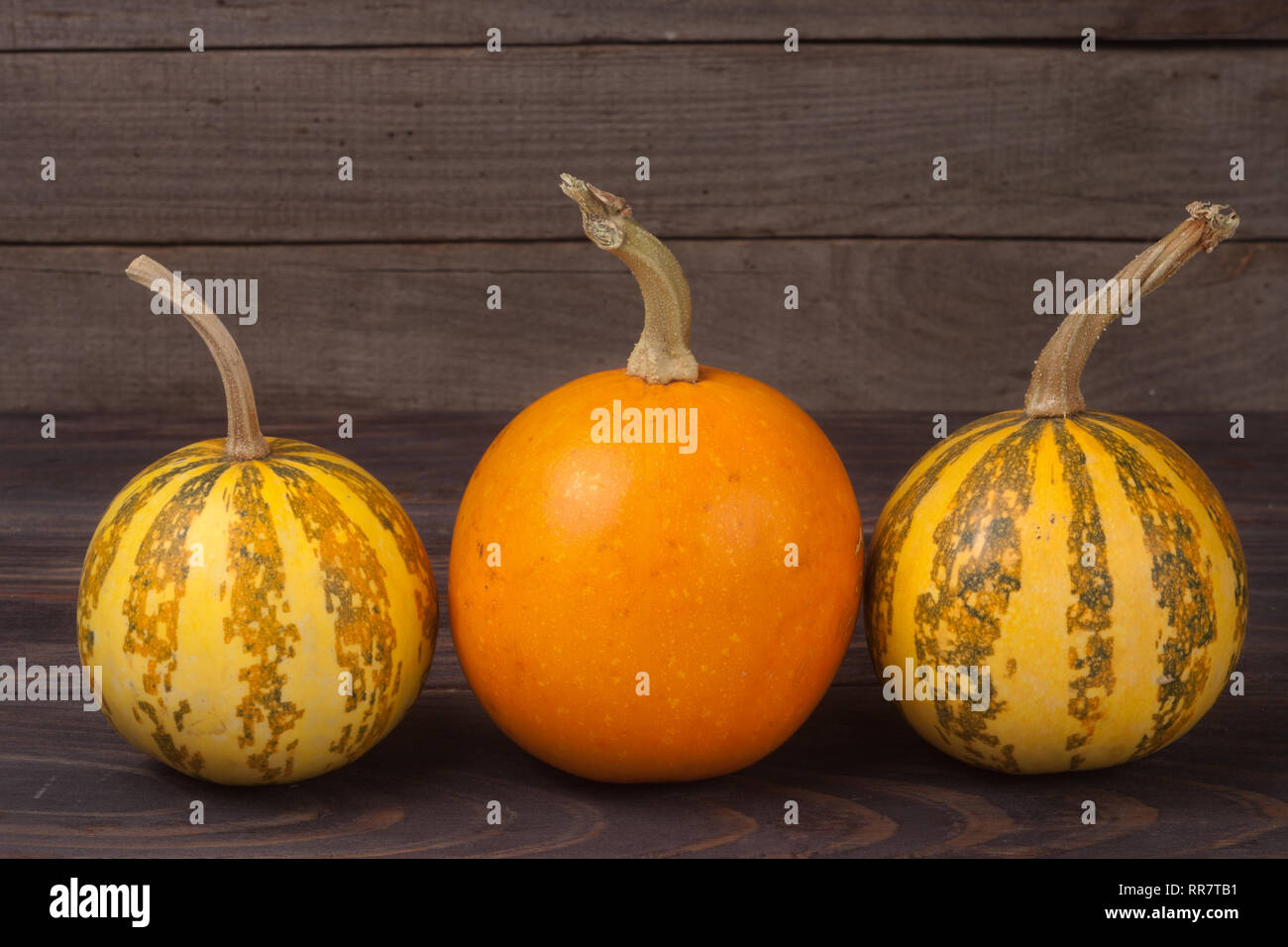 Striped orange yellow pumpkins hi-res stock photography and images - Alamy