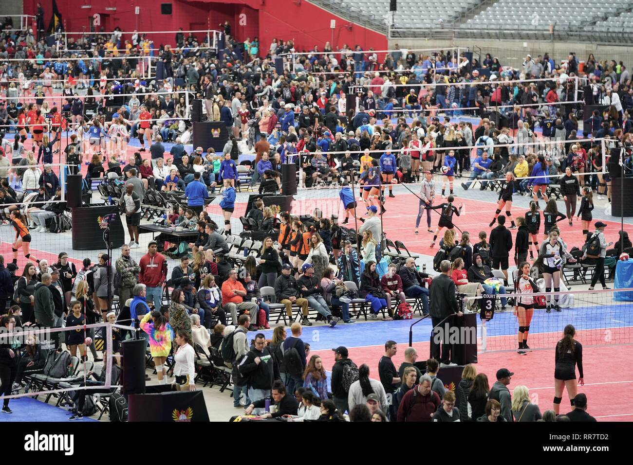 Courts are covered with female volleyball teams during a tournament in