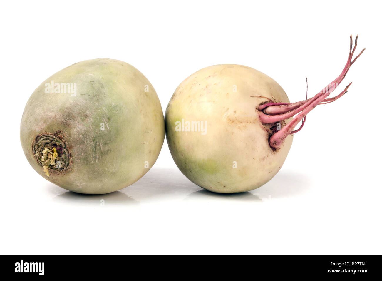 Two watermelon radish isolated on white background Stock Photo