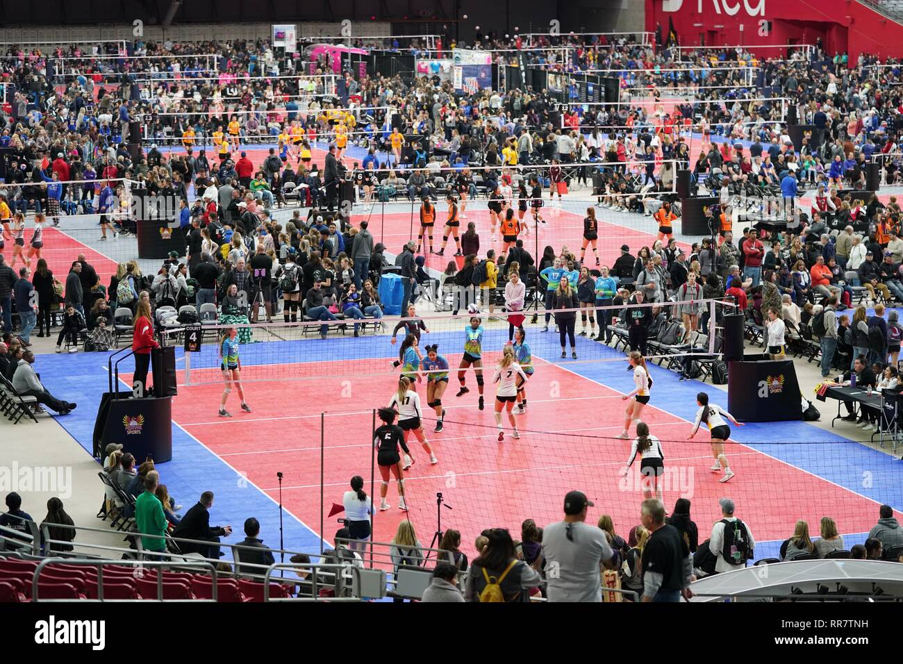 Courts are covered with female volleyball teams during a tournament in