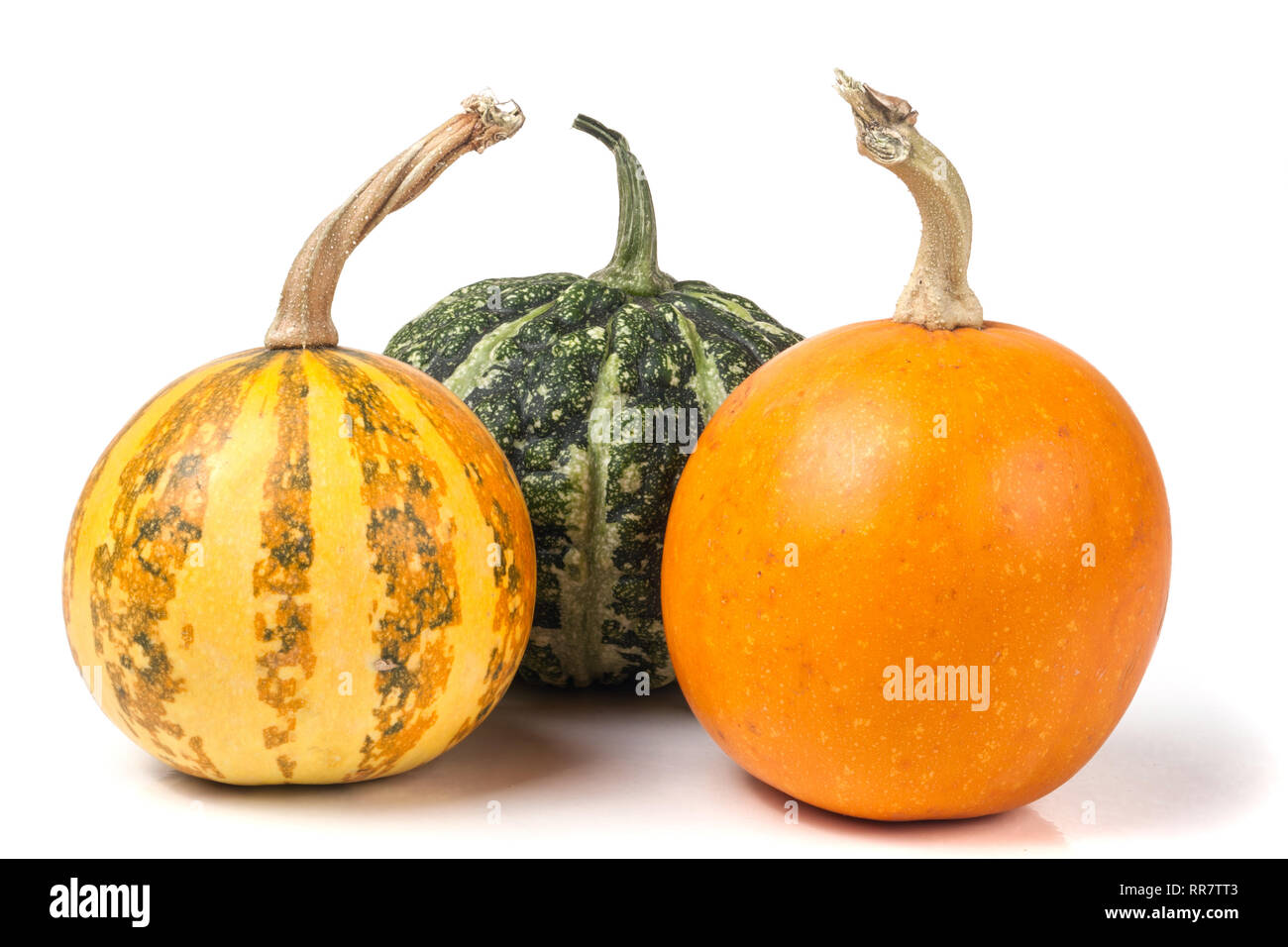 Three pumpkins isolated on hi-res stock photography and images - Alamy