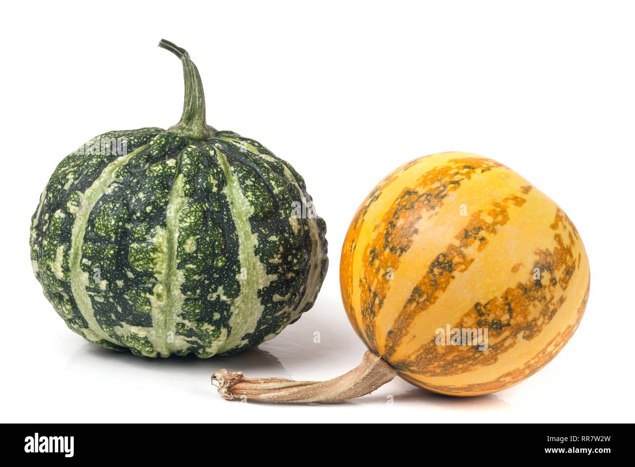 Orange and green decorative pumpkins isolated on white background Stock ...