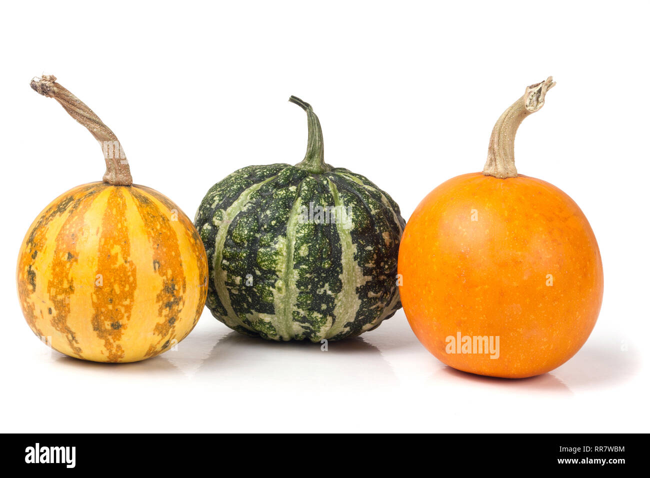 three decorative pumpkins isolated on white background Stock Photo - Alamy