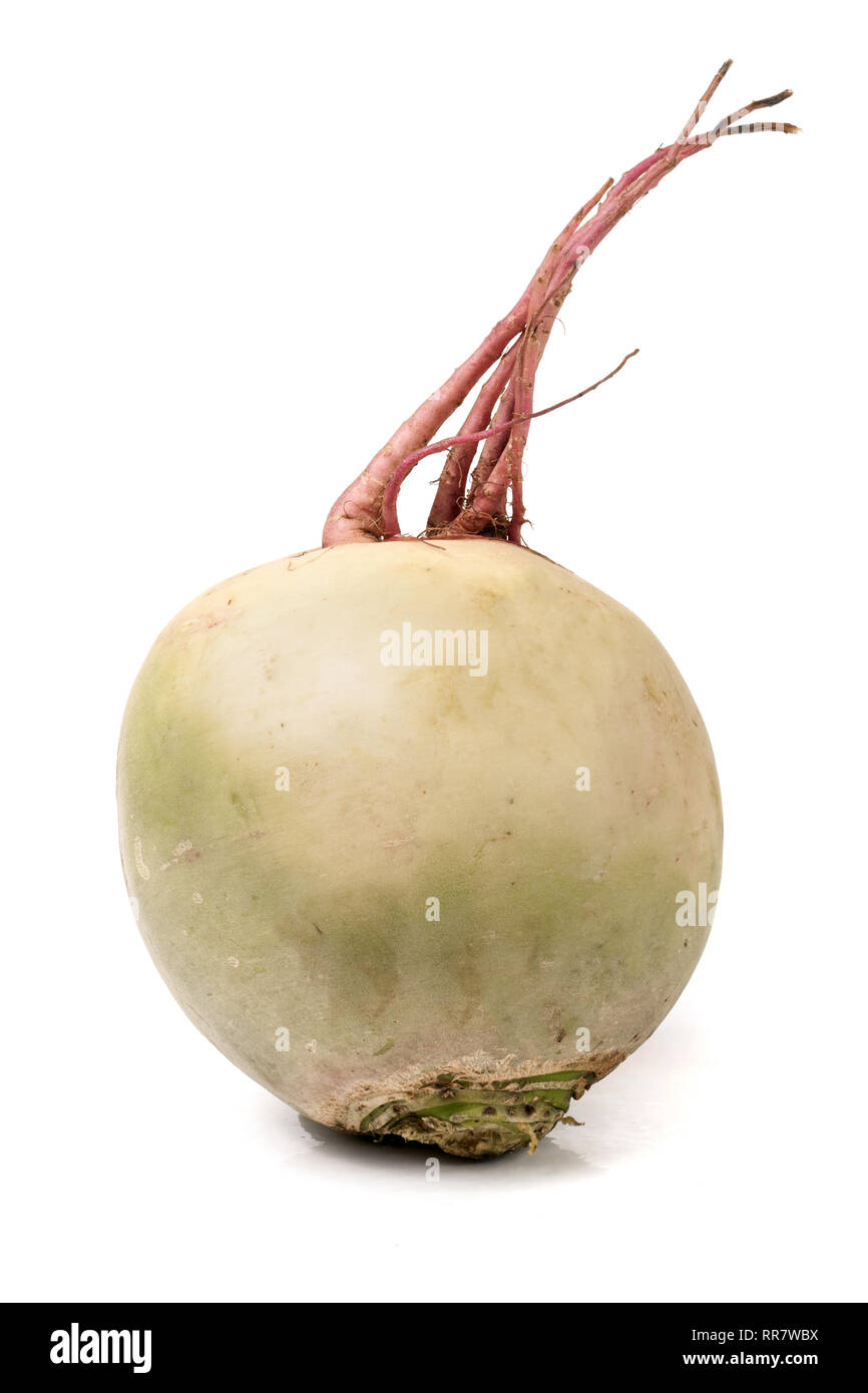 one watermelon radish isolated on white background Stock Photo
