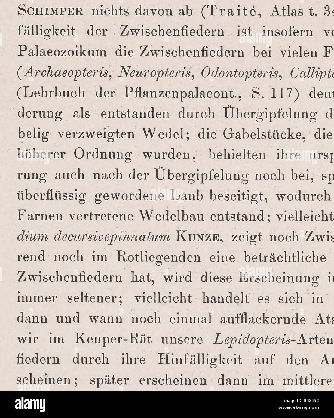 Storia dell'arte. Per le Scuole: 2 von unbekannt