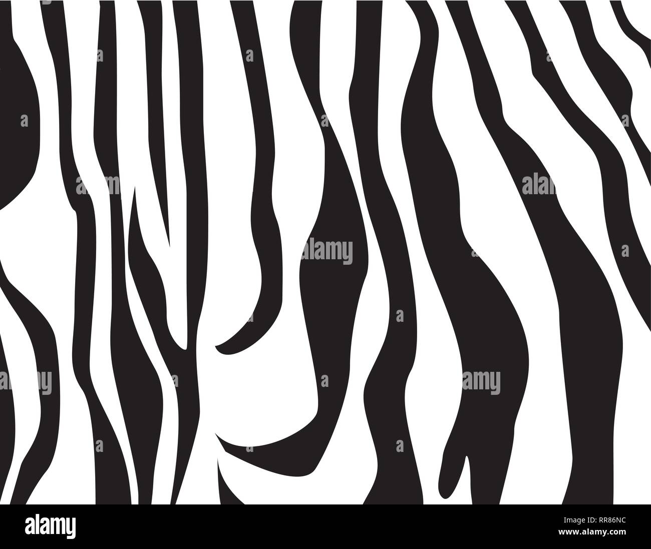 Vector zebra texture Black and White Stock Vector Image & Art - Alamy