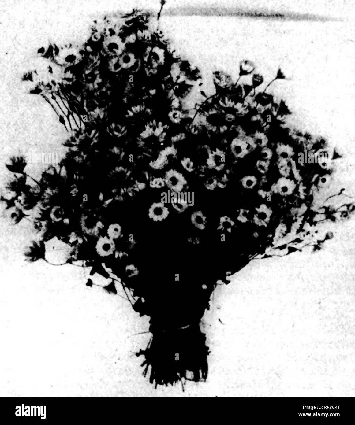 Florists Review Microform Floriculture Ready For Winter Dbying Stbawflowebs As The Callfomlans Do It At Occasional Periods In The Year The Retail Florist Finds The Flower Market So Tight That Customers