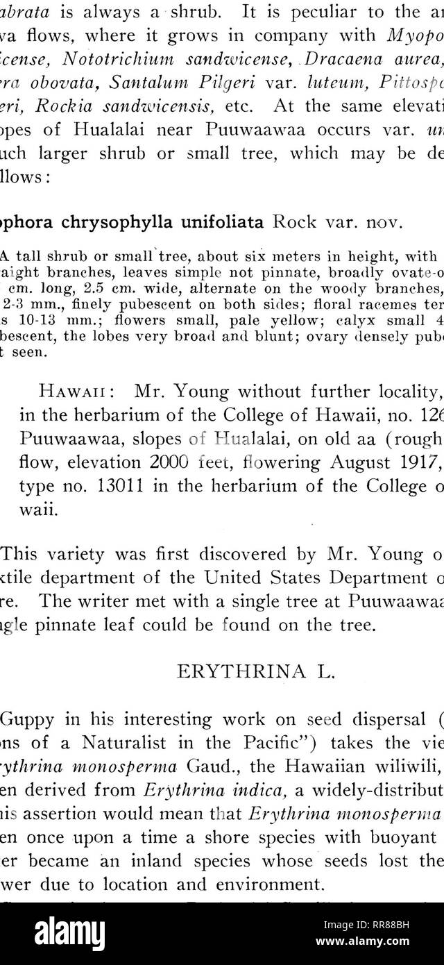 . Botanical bulletin. Botany. PLATE XV.. I i (&gt;KA t )| II I!'. IIAWA1IAN ISLANDS *) !&lt;Y rF.KMITORY OF HAWAII Type of Sophora chrysophylla unifoliata Eock in herbarium College of Hawaii.. Please note that these images are extracted from scanned page images that may have been digitally enhanced for readability - coloration and appearance of these illustrations may not perfectly resemble the original work.. Hawaii. Division of Forestry. Honolulu : Division of Forestry Stock Photo