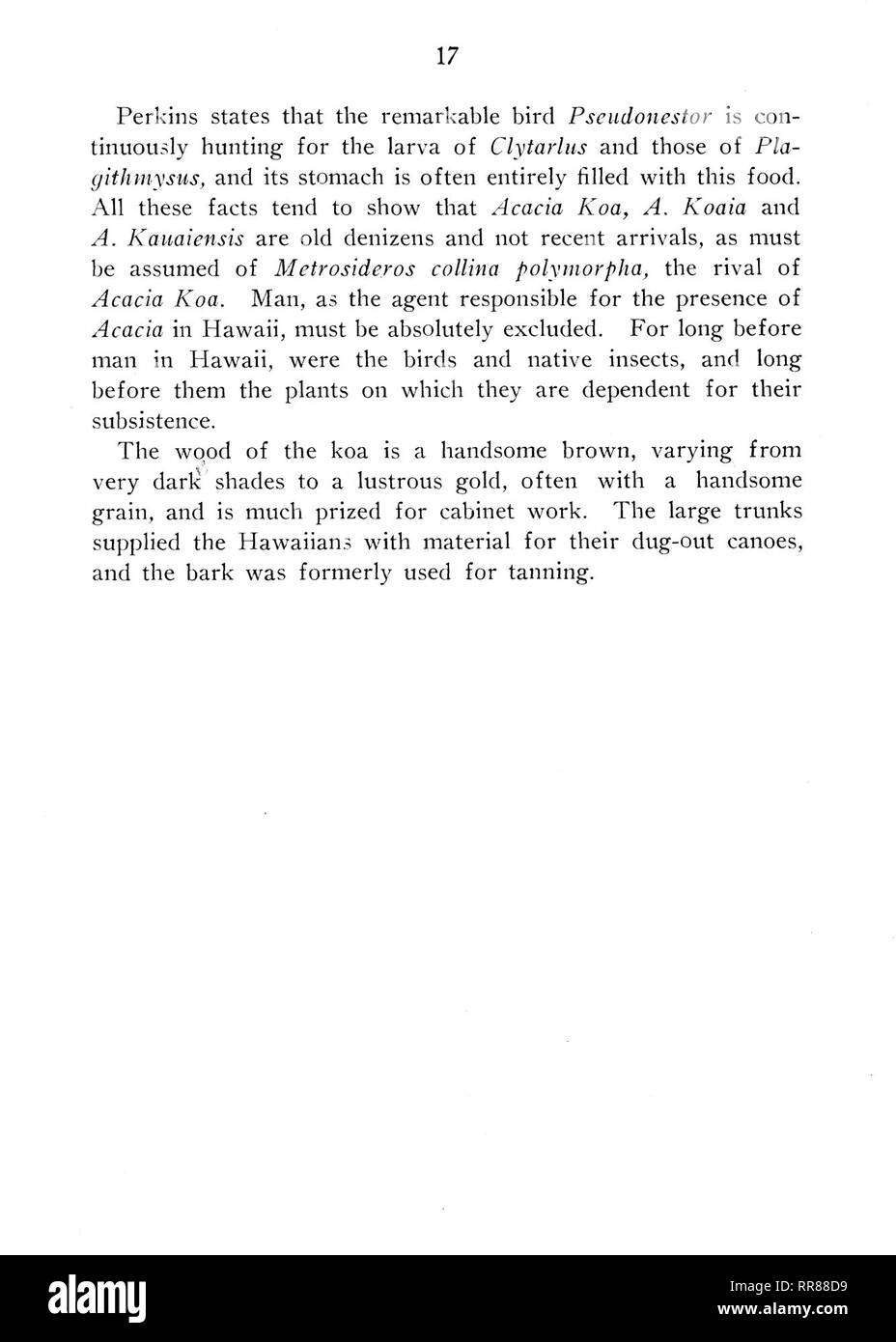 . Botanical bulletin. Botany. PLATE III.. ACACIA KOA Gray Koa. About one-third natural size. Showing true leaves and phyllodia, flower? and fruits.. Please note that these images are extracted from scanned page images that may have been digitally enhanced for readability - coloration and appearance of these illustrations may not perfectly resemble the original work.. Hawaii. Division of Forestry. Honolulu : Division of Forestry Stock Photo