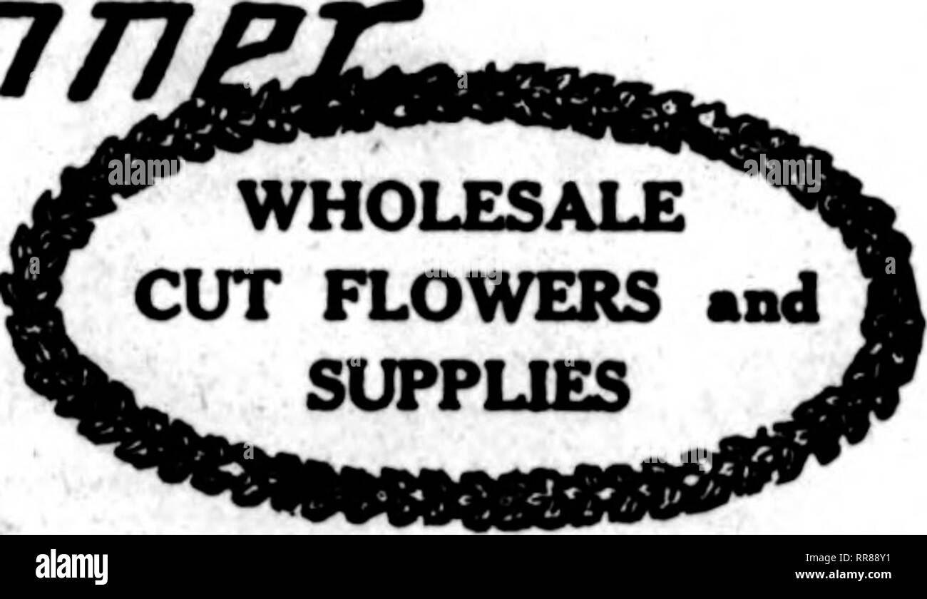 . Florists' review [microform]. Floriculture. 124 The Florists' Review / OCTOBKB 12. 1922 * ; CUT FLOWERS AND FLORISTS' SOrPLIES ORDER FROM St. Louis Wholesale Cut Flower Co. 1406-1408 Pine Street St. Louis, Missouri Wholesale Cut Flower Prices. Chicago, Oct. 9, 1822. Per 100 Columbia » 400 Q 120.00 Mrs. BusmU 4.00 S 28.00 Premier ^-59® SSS Milady 400 &amp; 20.00 Cruaader 4.00 &amp; 26.00 Butterfly 4.00 | 18.00 Montroae 4.00 Q 18.00 Sunburst ^5*1 JS'SS Ophelia 4.00 &amp; 18.00 Francis Scott Key 5.00 ® 25.00 Double White Klllarney 4.00 @ 15.00 Frank H. Dunlop 4.00 &amp; 12.00 Hy Maryland 4.00 S Stock Photo