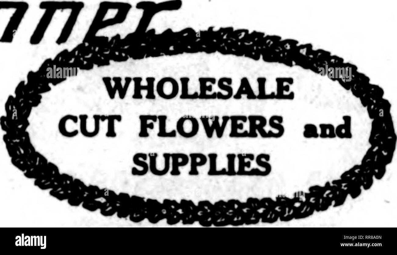 . Florists' review [microform]. Floriculture. OCTOBBB 6, 1922 The Florists^ Review 119 m FLOWERS AND FLORISTS' SUPPLIES ORDER FROM St. Louis Wholesale Cut Flower Co. 1406-1408 Pine Street St. Louis, Missouri Wholesale Cnt Flower Prices. OhlcaKO, Oct. 2, 1922. Per 100 Columbia $ 4.00 @ $20.00 Mrs. RuBBell 4.00 @ 25.00 Premier 4.00 @ 25.00 MUady 4.00 @ 20.00 Crusader 4.00 @ 25.00 Butterfly 4.00 @ 18.00 Montrose 4.00 @ 18.00 Sunburst 4.00 @ 18.00 Ophelia 4.00 © 18.00 Francis Scott Key 4.00 (gl 15.00 Double White Killarney 4.00 @ 15.00 frank H. Ounlop 4.00 @ 12.00 My Maryland 4.00 @ 8.00 Phantom 8 Stock Photo