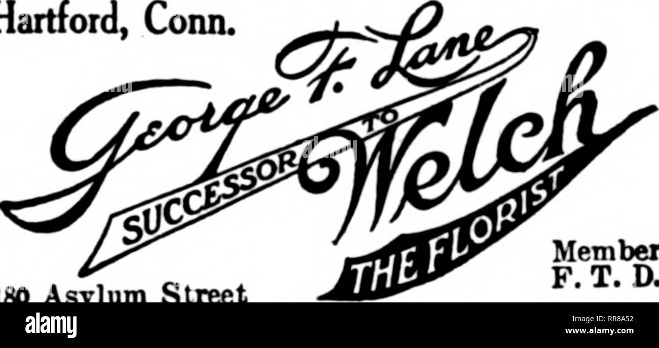 . Florists' review [microform]. Floriculture. 180 Asylum Street Member F. T. D. BRIDGEPORT, CONN. James Horan &amp; Son 943 MAIN STOEET Largest Growers in this District Members Florists' Telfxjkaph Deliveby. Please note that these images are extracted from scanned page images that may have been digitally enhanced for readability - coloration and appearance of these illustrations may not perfectly resemble the original work.. Chicago : Florists' Pub. Co Stock Photo