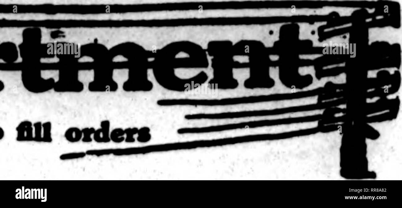 . Florists' review [microform]. Floriculture. wImm* cards appear on th« pages carrying this head, are prepared to fill orders fram other florists for local delivery on the nsoal basis. — ?. MICHIGAN ORDXRS WILL BE GARKFULLT CARBD FOR BY HENRY SMITH FLORAL 00. nrCWBPORATXD GRAND RAPIDS WHOLESALE AND RETAIL FLORIST Member F. T. B. 200.000 FEET OF GLASS DEVOTED TO FLOWERS AND PLANTS DETROIT J. BRETTMEYERS SONS 1314 BROADWAY &quot;AlWBT* • pleamre to keep an ere, penonsUy, oo any order for m brother florist*' Philip Breltineyer DETROIT SCR1B^JER FLORAL CO., t740 BAST FORT STREET, Always at your se Stock Photo