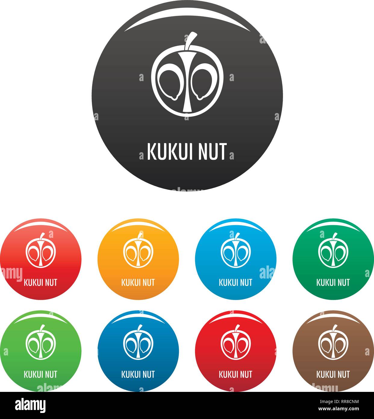Kukui nut icons set 9 color vector isolated on white for any design Stock Vector