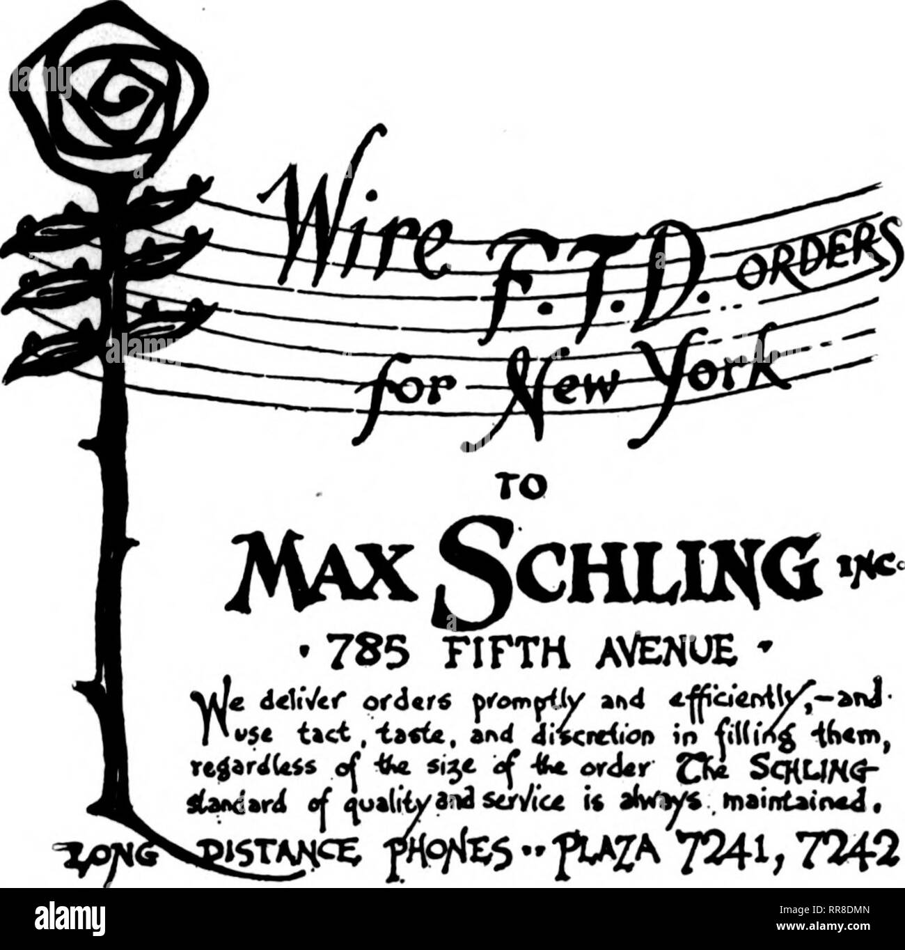 . Florists' review [microform]. Floriculture. WE CAERY THE HIGHEST GRADE OF CUT FLOWERS SEND US YOUR NEW YORK ORDERS ADJACENT TO THEATRICAL AND HOTEL DISTRICTS ... FLORIST . . 426 Madison Ave.—and 49th Street Also Vanderbilt and MFW YORI^ Ritz-Carlton Hotels l^H-W iKJiXtk Telephone Uomy HIU 788 Hiffheet award at the lotematlonal Flower SboWc April 11, Grand Central Palace. i^^eeatiao Central. Peraooal Attwtioiilc NEW YORK CITY THE PARK FLORIST S. H. CALAMARAS 115 E. 34th Street AT YOUR SERVICE FLORIST FOR 25 YEARS ESTABUSHED 1875 C. F. BAKER &amp; SON UTICA, N. Y. We Cover Central New York Mei Stock Photo