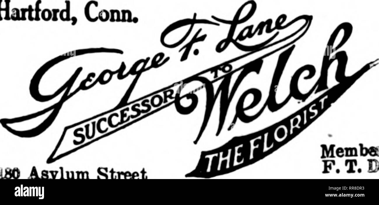 . Florists' review [microform]. Floriculture. Chelsea/ ^rlin^toru &gt; Everett- Q &gt; Charlestowjv o BECKER'S CONSERVATORIES 1730 CAMBRIDGE ST. CAMBRIDGE,MASS. Hartford, Conn. Since 1887 r«.m.l&gt;«t.tt S(r. ClkSOSO. PLEASE Address as above A. W. WELCH, Manager Haitfoid, Conn.. 180 Asylum Street Membet- F. T. D- Hartford, Conn. J. ALBERT BRODRIB Store, 639 Main Street DeliTeriea to New Britain, Meriden, Hiddletown, Hancheater, Rockville, Farmington, Willimantie Member Florists' Telegrraph Delivery Association BRIDGEPORT, CONN. James Horan &amp; Son 943 MAIN STREET Largest Growers in this Dist Stock Photo