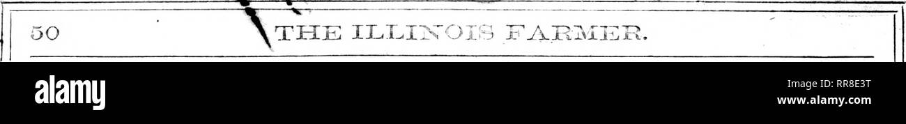 . The Illinois farmer [microform] : a monthly agricultural journal, devoted to the interests of the farmer, gardener, fruit grower and stock raiser ... Agriculture; Agriculture -- Illinois. Vj^A js i . ? 1 f t hcuirro nnd ido'..:-iri I'V.t to dccr th; he--? k.imi from pn''!;e lifo. f/o&quot;;! takinc^ :;u iiiicTP-; Im po!!t:^;:! rf&quot;??;-; EiT&quot; ire ha-o irovc uv.'h. thi^i :r:--;oi :i t; :!y  ?? i ••:?:?.-:-'. Ch&quot; i;i:'i3i!y, Jiovrrver pr^r]vr&quot; i ?-i--.&quot;; v -^v, i^-an ck'iio:;&quot; I'ul h-.&quot;i i:ot ; r'&quot;'.;.uT.i i'l ''.' peri:'i;: ;v^' ;•' &quot;ih:: cc;'';- d Stock Photo